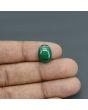 Malachite (Kidney Stone) 7.82 Carat 