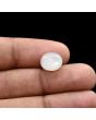 Moonstone 4.74 Carat
