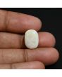 Australian Opal 7.4 Carat