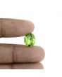 Peridot 4 Carat