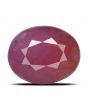 Ruby - 3.51 Carat 