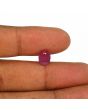 Ruby - 3.51 Carat 