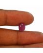 Ruby - 3.41 Carat