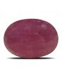 Ruby - 3.04 Carat