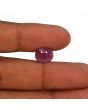 Ruby - 6.31 Carat 