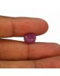 Ruby - 6.31 Carat 