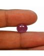 Ruby - 5.46 Carat 
