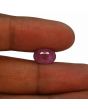 Ruby - 4.31 Carat 