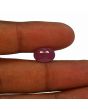Ruby - 5.56 Carat 