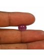Ruby - 4.49 Carat 
