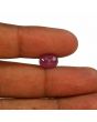 Ruby - 4.49 Carat 