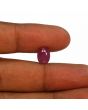Ruby - 4.49 Carat 