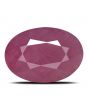 Ruby - 6.34 Carat 