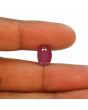 Ruby - 6.63 Carat 