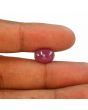 Ruby - 6.63 Carat 