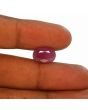 Ruby - 6.16 Carat 