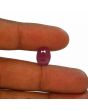 Ruby - 6.29 Carat 