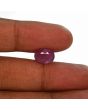 Ruby - 5.34 Carat 