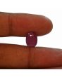 Ruby - 5.62 Carat 