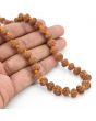 10 Mukhi Rudraksha Mala (Indonesia)