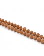 10 Mukhi Rudraksha Mala (Indonesia)