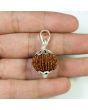 Natural 10 Mukhi (Ten Mukhi) Rudraksha Nepal Silver Pendant GJSPC Certified