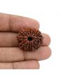 12 Mukhi Rudraksha (Nepal) 25.52 MM