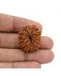 12 Mukhi Rudraksha (Nepal) 25.6 MM