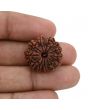 12 Mukhi Rudraksha (Nepal) 21.65 MM