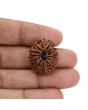 12 Mukhi Rudraksha (Nepal) 23.86 MM