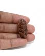 1 mukhi kaju shape Indian Rudraksha 31.01 M.M.