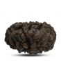 1 mukhi kaju shape Indian Rudraksha 27.62 M.M.