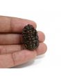 1 mukhi kaju shape Indian Rudraksha 27.62 M.M.