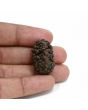 1 mukhi kaju shape Indian Rudraksha 27.62 M.M.