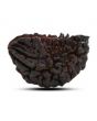 1 mukhi kaju shape Indian Rudraksha 32.58 M.M.