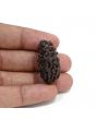 1 mukhi kaju shape Indian Rudraksha 32.58 M.M.