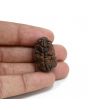 1 mukhi kaju shape Indian Rudraksha 26.95 M.M.