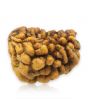 1 Mukhi Rudraksha 25.61 MM