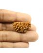 1 Mukhi Rudraksha 29.49 MM