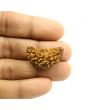 1 Mukhi Rudraksha 29.06 MM