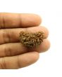 1 Mukhi Rudraksha 29.52 MM