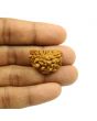 1 Mukhi Rudraksha 26.73 MM