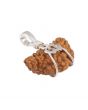1 Mukhi Rudraksha Silver Pendant