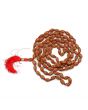 2 Mukhi Rudraksha Mala (108+1 Beads)