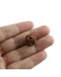 3 Mukhi Rudraksha (Nepal)