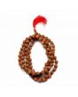6 Mukhi Rudraksha Mala (108+1 Beads)