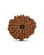 9 Mukhi Rudraksha (Nepal) 21.37 MM