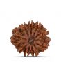 9 Mukhi Rudraksha (Nepal) 22.24 MM