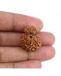 Garbh Gauri Rudraksha Nepal (GJSPC Certfied) 23.62 M.M.