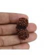 Natural 10 Mukhi (Ten Mukhi) Gauri Shankar Rudraksha (Nepal) GJSPC Certified 32.92 M.M.